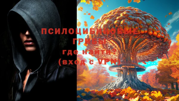 твердый Арсеньев