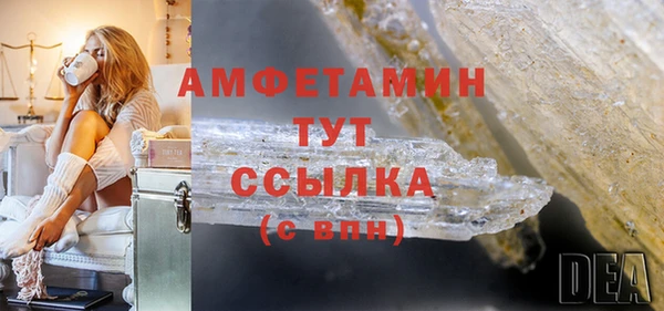 твердый Арсеньев