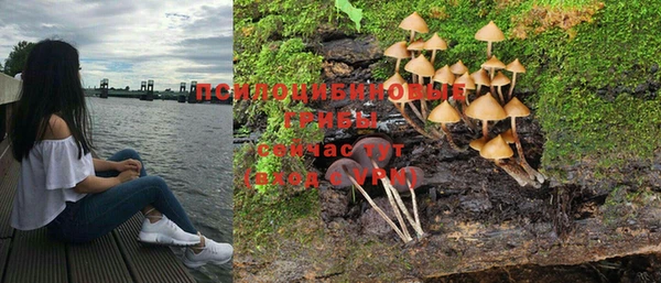 спиды Пролетарск