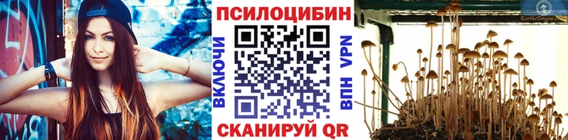 Галлюциногенные грибы Cubensis  Советская Гавань 